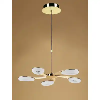 Juno Telescopic 5 Light 30W LED 3000K, 2700lm, Satin Gold Frosted Acrylic Gold, 3yrs Warranty