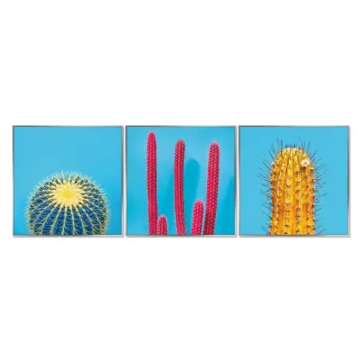 Framed Acrylic Pictures – Cactus (Set of 3)