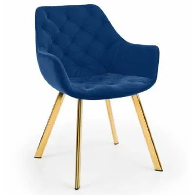 Blue Velvet Fabric Upholstered Buttoned Kitchen Dining Chair Gold Finish Legs