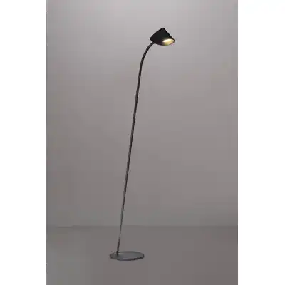 Capuccina 1 Light Floor Lamp, 8.5W LED, 3000K, 600lm, Black, 3yrs Warranty