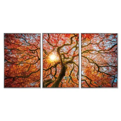 Framed Acrylic Pictures – Autumn Tree (Set of 3)