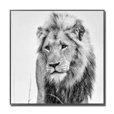 Lion Glass Art Picture