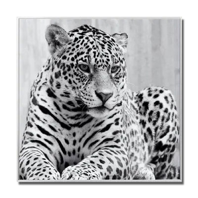 Cheetah Glass Art Picture