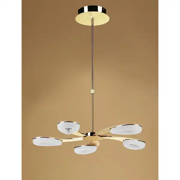 Juno Telescopic 5 Light 30W LED 3000K, 2700lm, Satin Gold Frosted Acrylic Gold, 3yrs Warranty